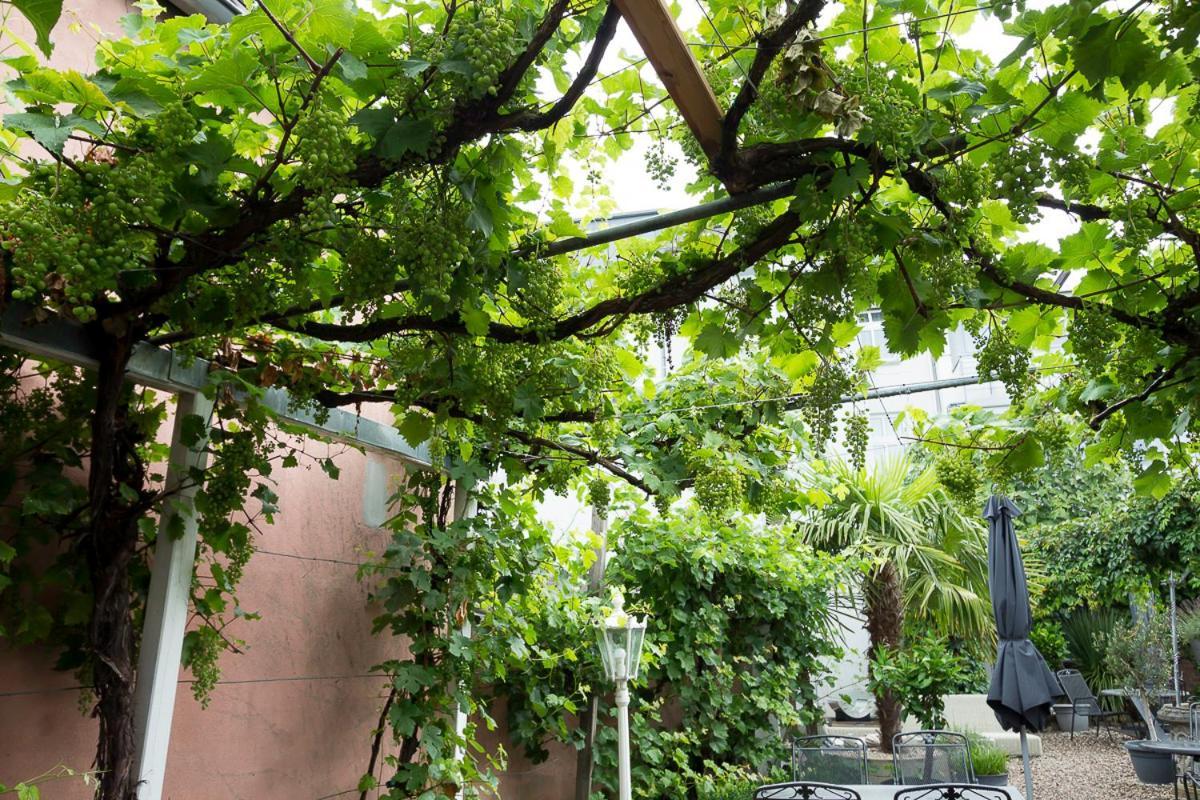 Hotel Garni Landhaus Zur Issel Isselburg المظهر الخارجي الصورة